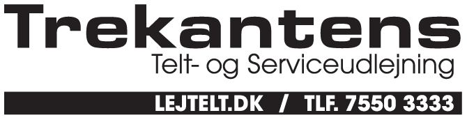Vi udlejer alt til festen